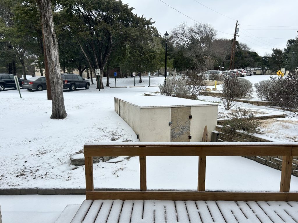 The view of ice starting to cover the ground and trees during Winter Storm Mara in Texas 2023.